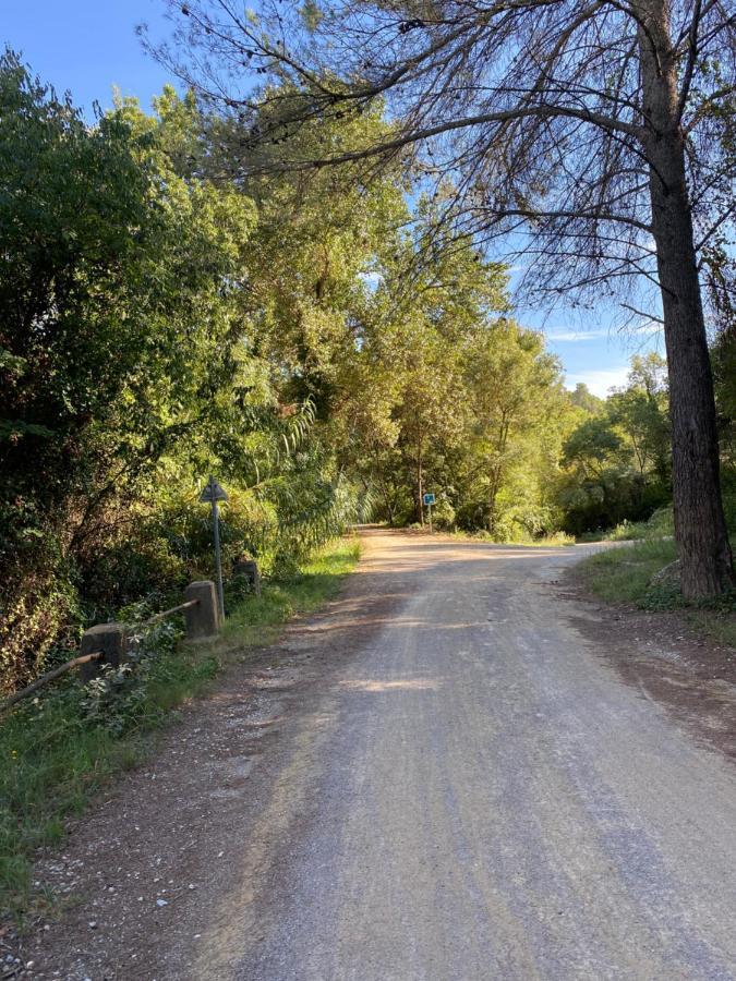 Logements A Proximite De La Riviere Reals Murviel Kültér fotó